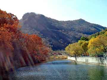 管家婆黑白马报图库，风流倒霉蛋